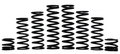 Polaris, RZR XP S, Walker Evans Spring Kit, 2 Seat (2026)