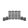 Polaris General 1000 Stage 1 Spring Kit W.E. Shock